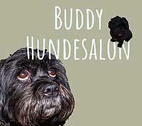 Buddy-Hundesalon_logo